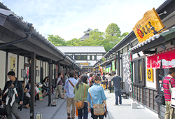 城彩苑.png