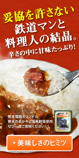 辛うま～い！目の覚める美味しさ！熊本電鉄カレー